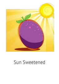 Fruit bliss sun sweetened